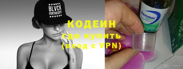 гидра Арсеньев