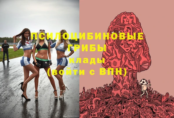 гашик Армянск
