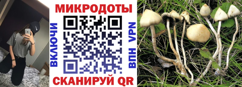 где купить наркотик  Хотьково  Галлюциногенные грибы Psilocybe 